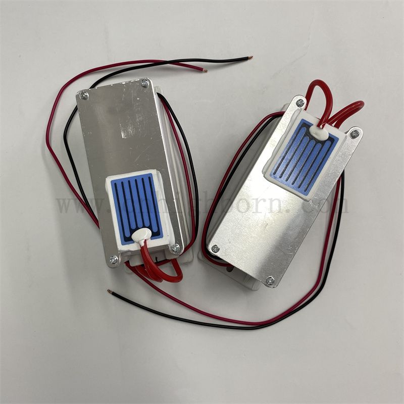 220V 1g/H 陶瓷片臭氧发生器模块 空气净化器 O3 臭氧发生器套件