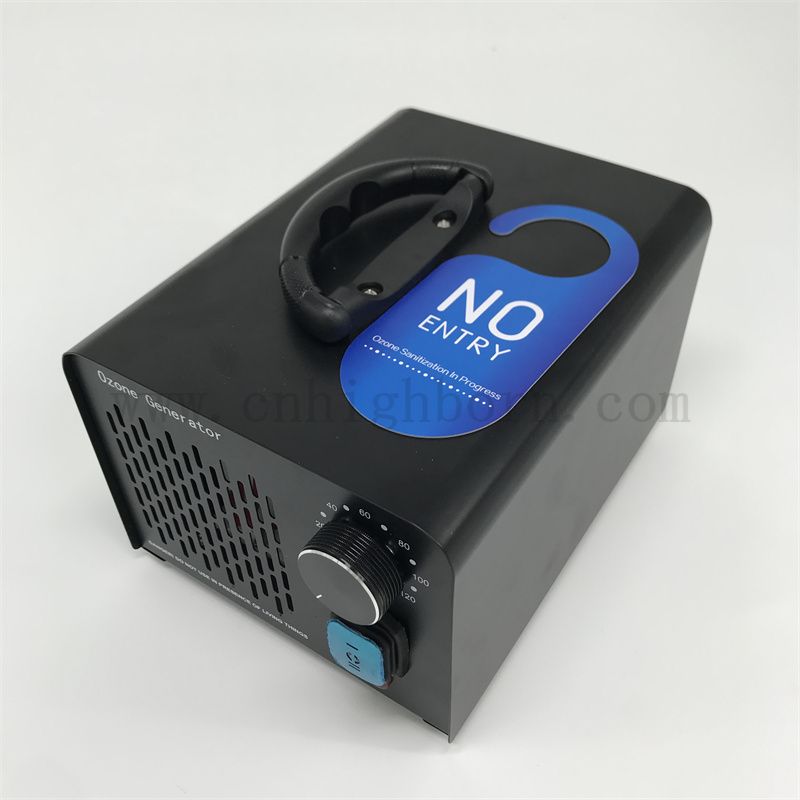 多功能臭氧发生器机便携式空气净化器220V 10g/H臭氧机水处理臭氧机